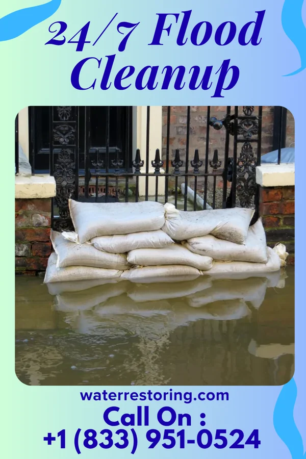24/7 Flood Cleanup in Riverlea, OH