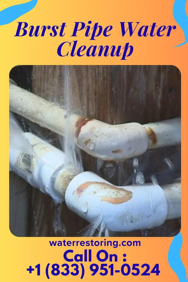 Burst Pipe Water Cleanup in Riverlea, OH