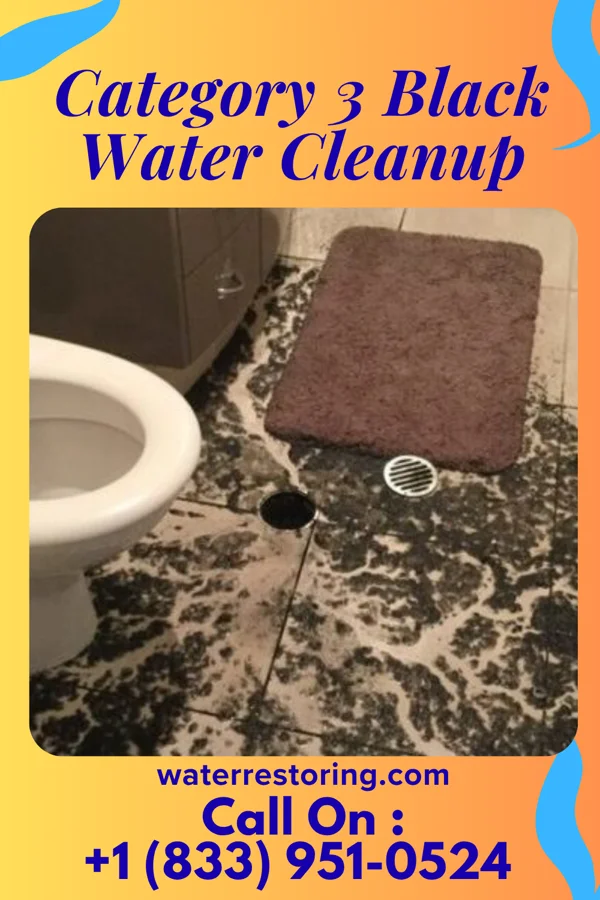 Category 3 Black Water Cleanup in Riverlea, OH