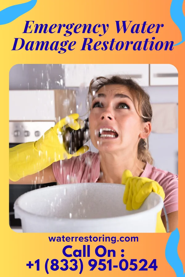 Emergency Water Damage Restoration in Riverlea, OH