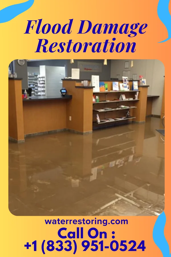 Flood Damage Restoration in Riverlea, OH